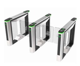 Control de acceso 100 MS 100