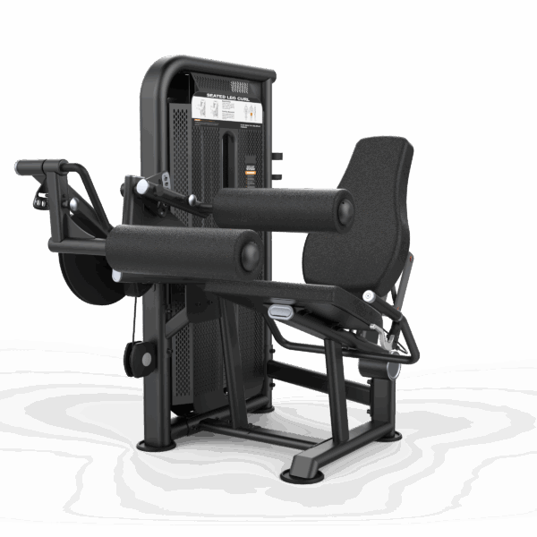 Seated Leg Curl