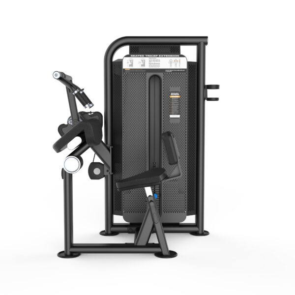 Triceps Extension