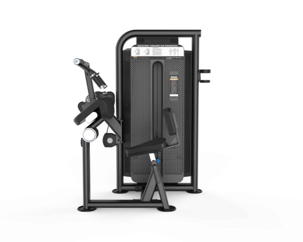 Triceps Extension