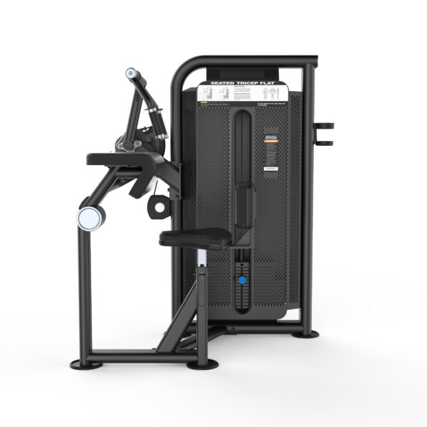 Seated Tricep-Flat