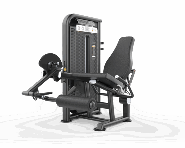 Leg Extension