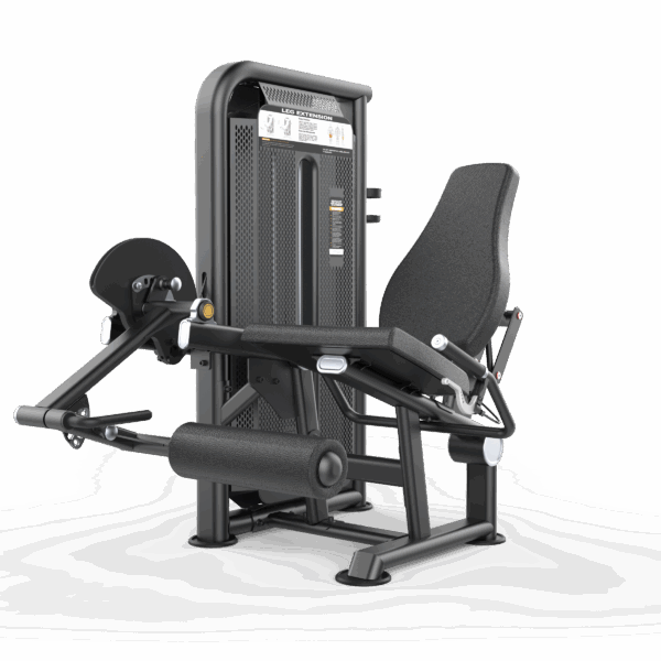 Leg Extension