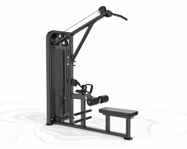Lat Pull Down & Polea alta