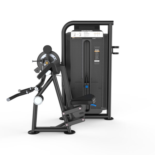Biceps Curl