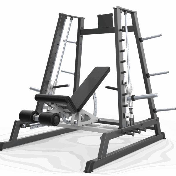 Power Smith Machine Dual System