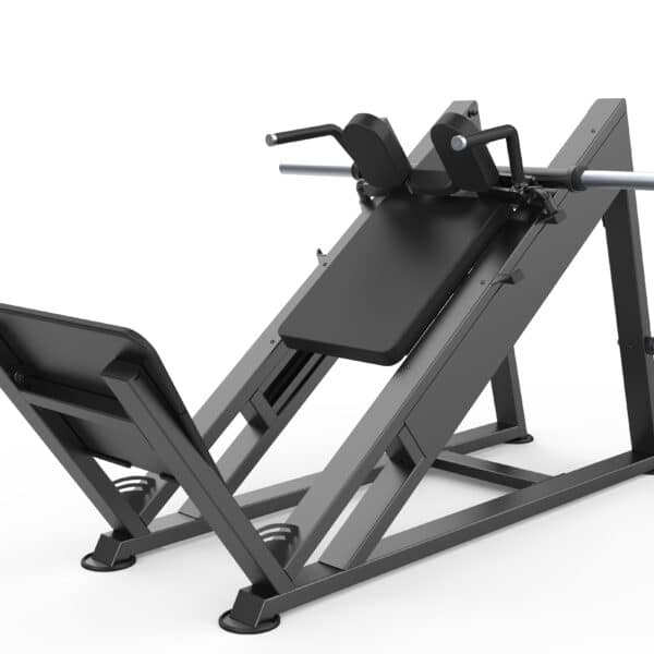Hack Squat