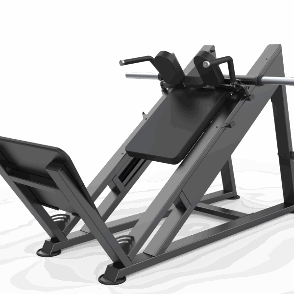 Hack Squat