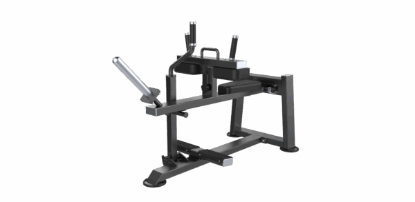 Seated Calf