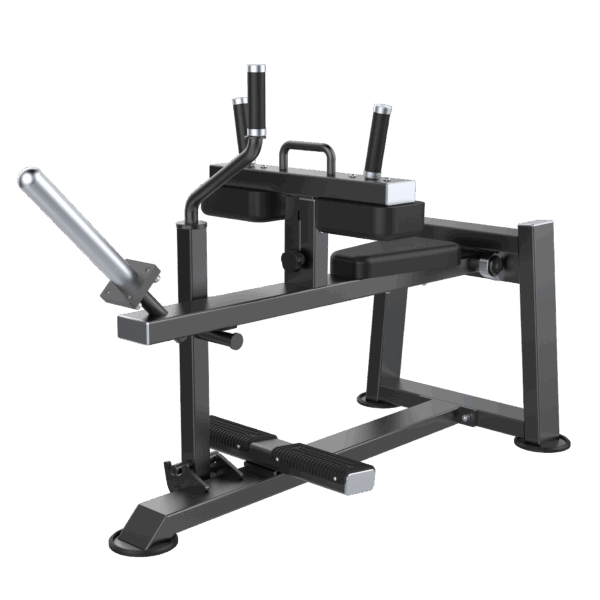 Seated Calf
