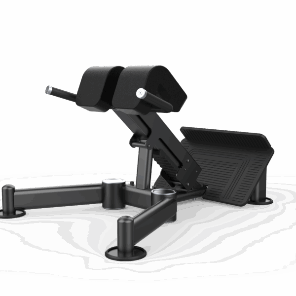 Back Extension