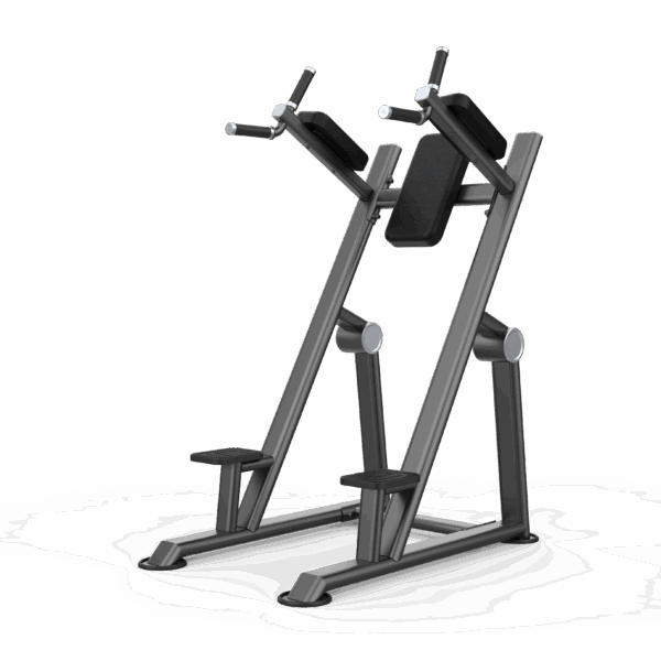Vertical Knee Up / Dip