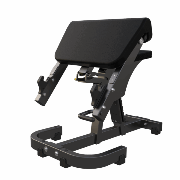 Seated Preacher Curl