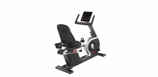 Recumbent Bike