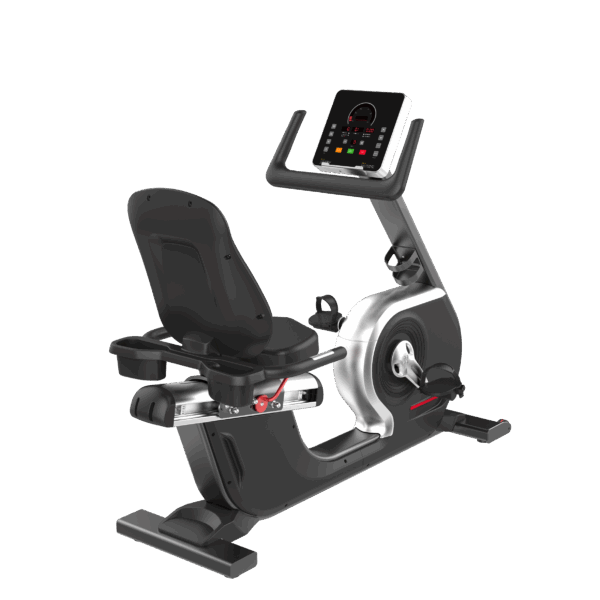 Recumbent Bike