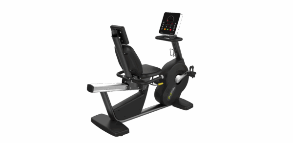 Recumbent Bike