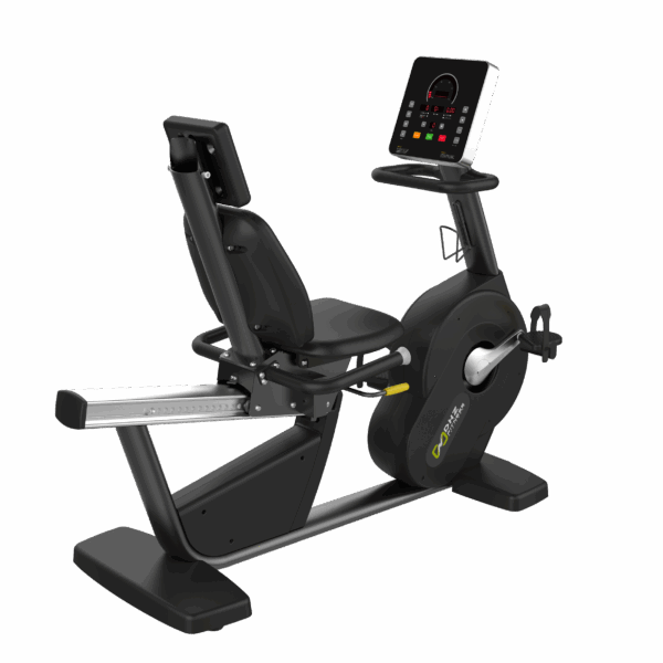 Recumbent Bike