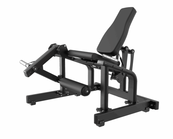 Seated Leg Extension