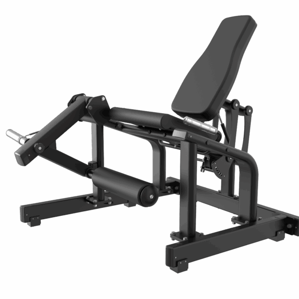 Seated Leg Extension