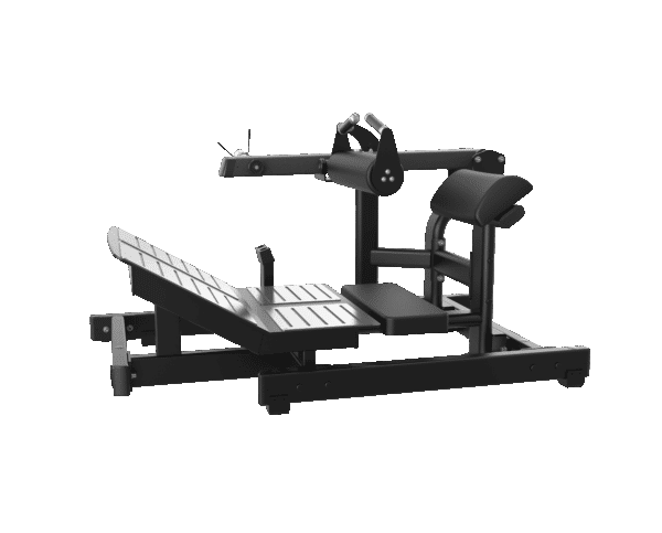 Hip Thrust