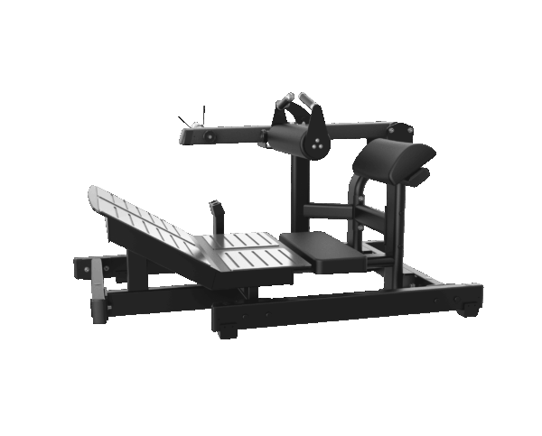 Hip Thrust