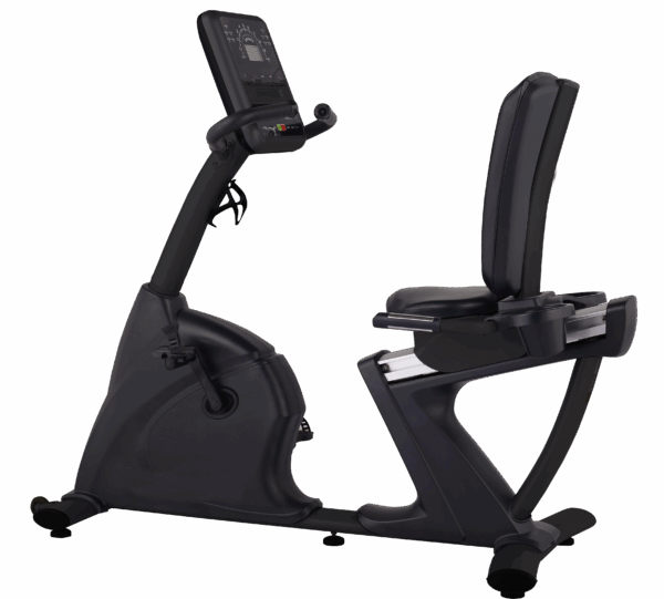 Recumbent Bike LCD Black