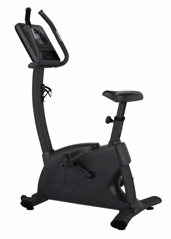 Upright Bike LCD Black
