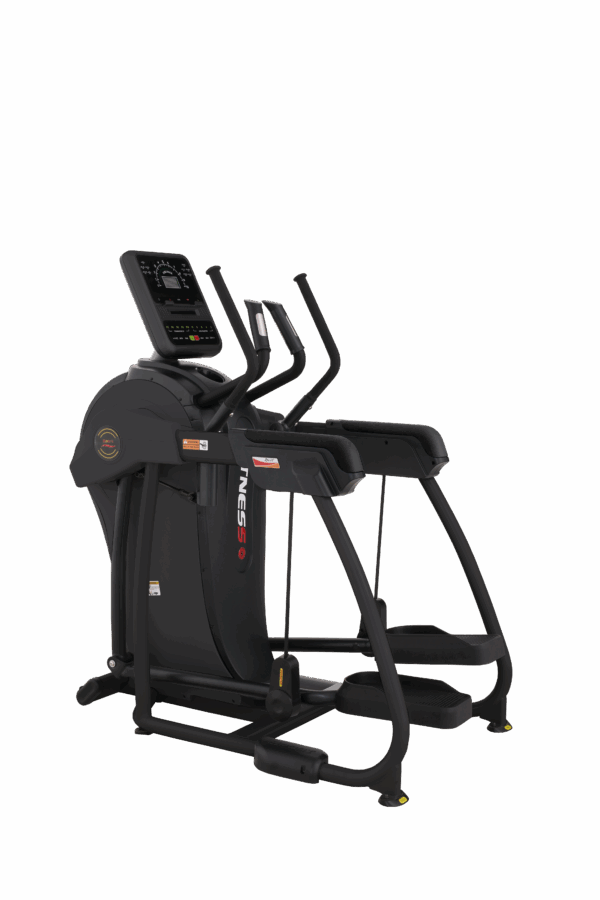 Functional Walker black