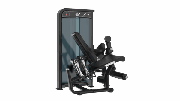Leg Extension