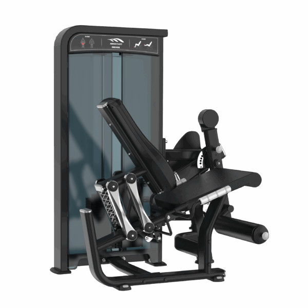 Leg Extension