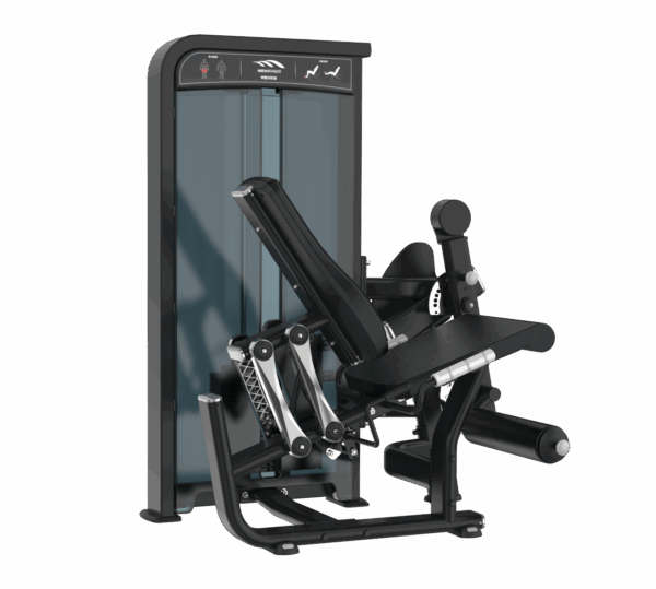 Leg Extension