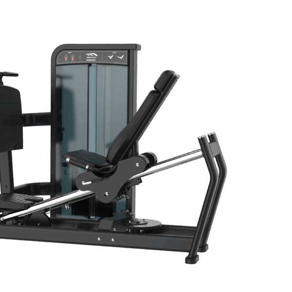 Leg Press