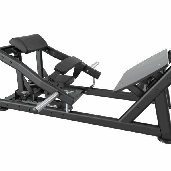 Hip Thrust