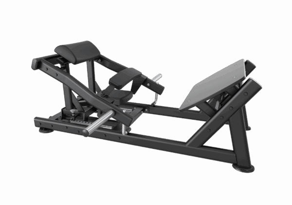 Hip Thrust