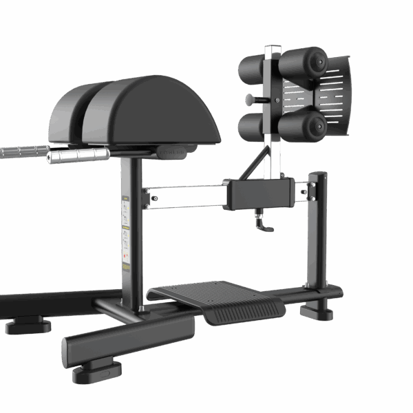 Glute Ham Developer