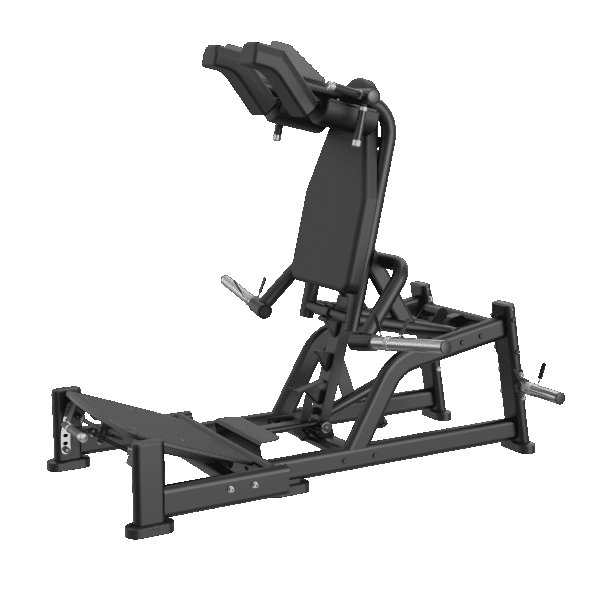 Hack Squat