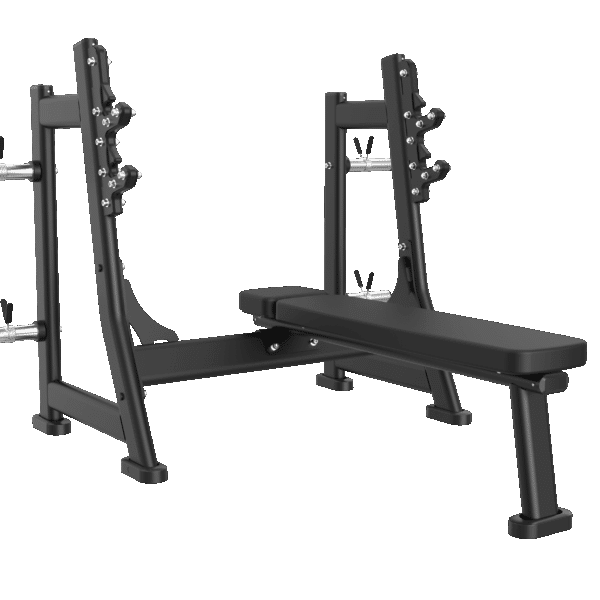 Weight Bench (Luxury)