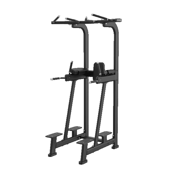 Vertical Knee Raise