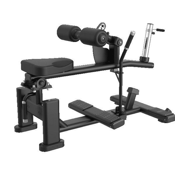Seated Calf Machine
