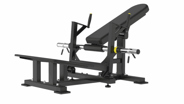 Hip Thrust