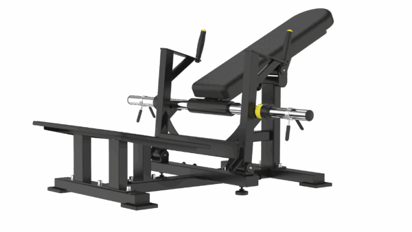 Hip Thrust