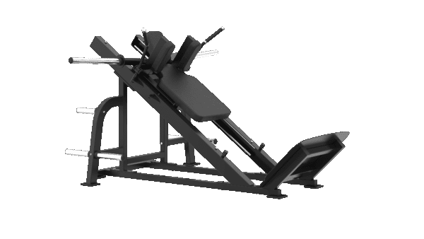 Hack Squat
