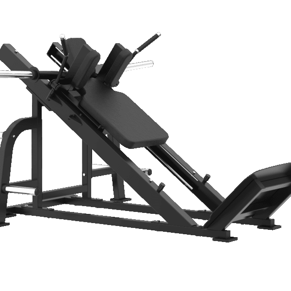 Hack Squat