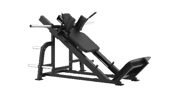 Hack Squat