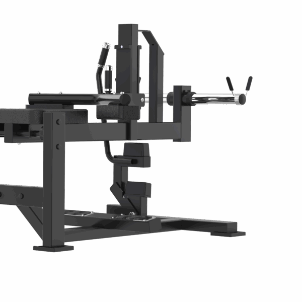 Seated Calf Machine