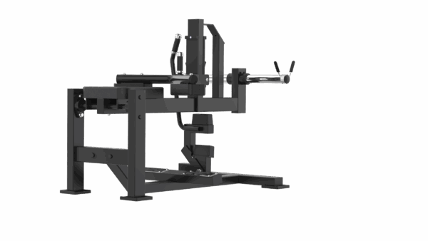 Seated Calf Machine