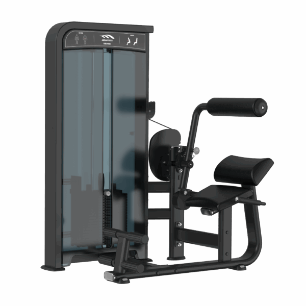Lower Back
