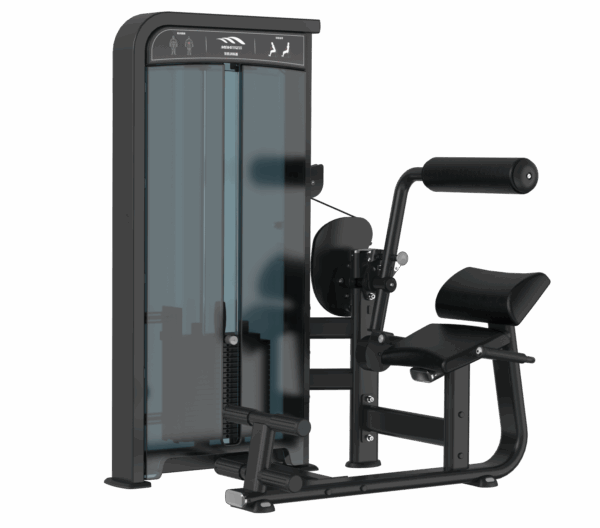Lower Back